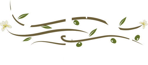 ZTN Collective